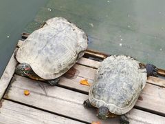 -丝绸小镇荻港古村