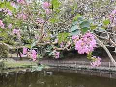 -奈良公园