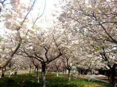 -西北农林科技大学(北校区)
