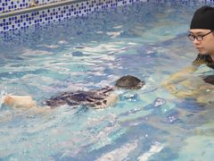 -水宝贝亲子游泳·水育早教运动中心(南海广场店)