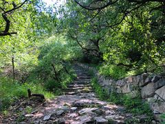 -阳台山自然风景区