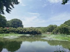 -河南省黄河迎宾馆