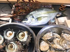活伊势龙虾-达摩君日本料理(泰海花园小区店)
