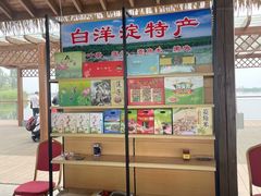 -白洋淀景区