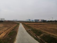 -光明小镇欢乐田园