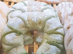 绿带子-法莱索尔(奥莱店)