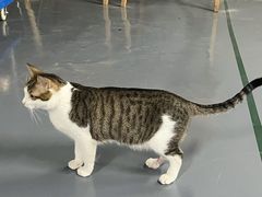 -蓝天射箭馆·专业射箭运动(诚丰广场店)