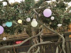 -杭州浪浪浪水公园