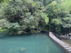 -石台牯牛降景区