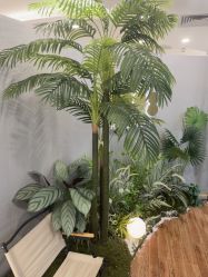 点击看大图 -八佰伴8008星级形象店