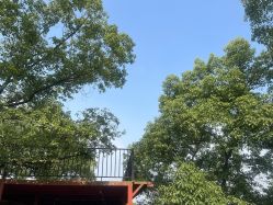 -南海地球村生态亲子乐园