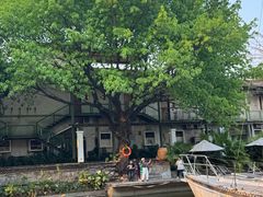 -喜洲吧·江畔老船厂·庭院餐厅(喜临院店)