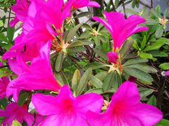 -艾溪湖湿地公园