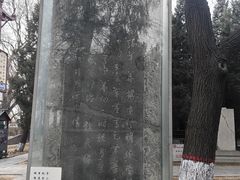 -赵州桥景区