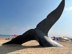 -烟台金沙滩海滨公园