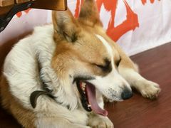 -海宁大尖山滑翔伞运动基地