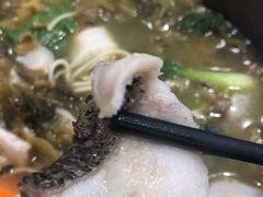 -晓午阳常熟炒浇面(红庙店)