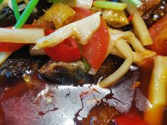 -金龙寨(龙城路店)