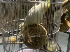 -zoonana室内动物园(东方福来德店)