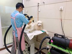 -北京观赏动物医院·24小时大型综合·猫专科·异宠专科