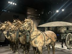 -秦始皇帝陵博物院-丽山园