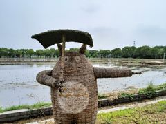 -嘉北郊野公园