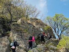 -大觉寺-停车场