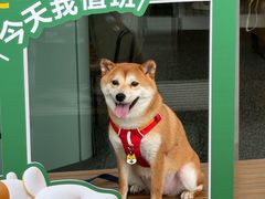 -星巴克(成都泛悦城市广场店)