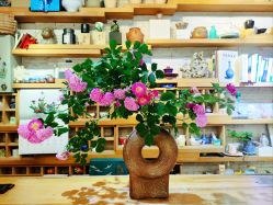 -今日陶艺(富力广场店)