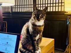 -法云安缦酒店