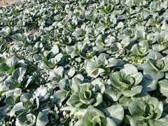 -重元寺香积厨素斋馆