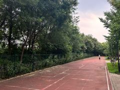 -东升文体公园