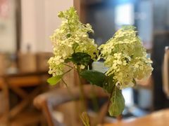 -听风阁农家私房菜茶楼(龙坞店)