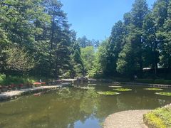 -庐山风景区花径公园