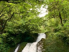 -瓦屋山景区