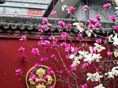 -西安市广仁寺