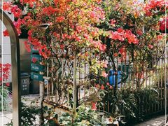 -默迹咖啡馆