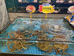 -天鲜阁·海鲜粤菜·33年老字号(石槎白云站店)