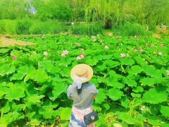 -南翠屏公园