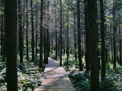 -白草畔自然风景区