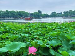 -小王府(什刹海店)