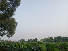 -长春市南湖公园