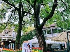 -湖畔居茶楼(湖滨店)