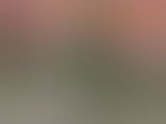 -约翰·菲茨杰拉德·肯尼迪国际机场