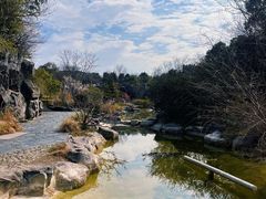 -上海吴淞炮台湾国家湿地公园