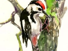 -BRAVO 赞·美艺术中心·系统美术·书法·艺考(双井校区)