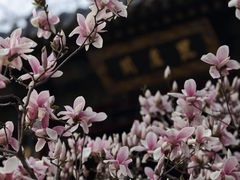 -潭柘寺景区
