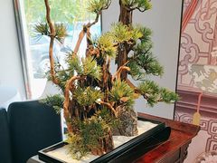 -顺峰(农展馆店)