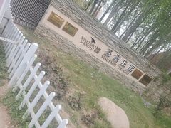 -安德鲁户外烧烤帐篷营地(马泉营店)