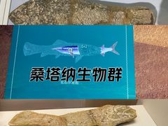 -天津自然博物馆